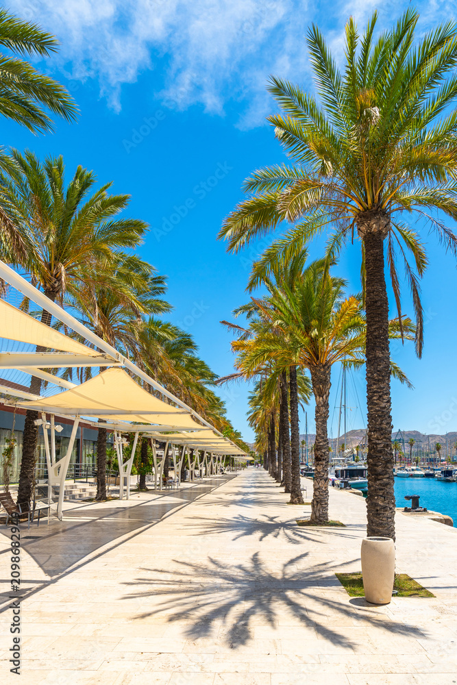 Obraz premium Cartagena harbor promenade with palm trees and sunshades