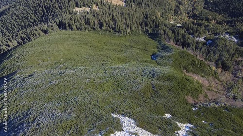 Aerial drone view of rocky mountain ridge with first snow and dwarf pine