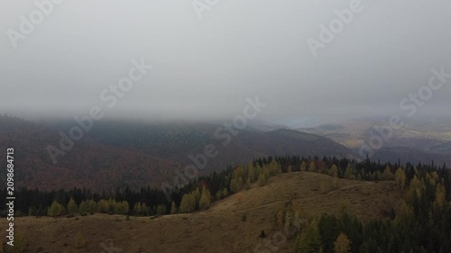 Bird’s eye view of autumn meadow beneath misty mountain slopes