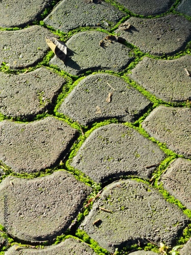 piso de adoquín con musgo 