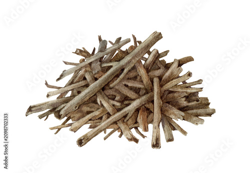 Dry tree branches pile hand painted watercolor illustration isolated on transparent background. Rustic woodland element of natural sticks for forest, camping, firewood, landscaping and outdoor design.