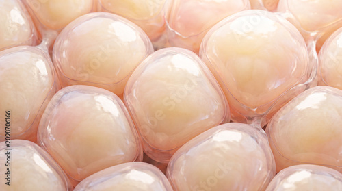 Fat cells from a high-calorie diet. Fluid-filled adapocytes, subcutaneous fat, metabolism