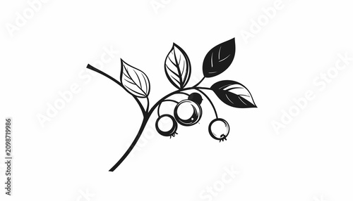 Canvastavla Blackberry branch with leaves and fruit.