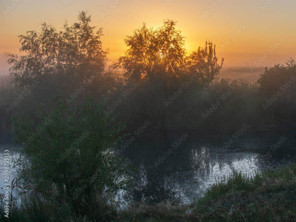 Fototapeta premium A misty morning landscape features lush green trees reflecting in a calm river as the golden sun rises over the horizon