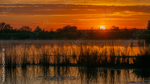 breathtaking golden sunrise reflecting over a misty, calm lake surrounded by silhouettes of wild reeds