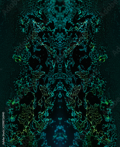 kaleidoscope artwork, soap bubble on black background