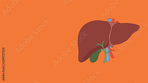 Foto Human liver anatomy vector illustration with gallbladder, hepatic blood vessels and biliary system medical diagram isolated on orange background for healthcare education