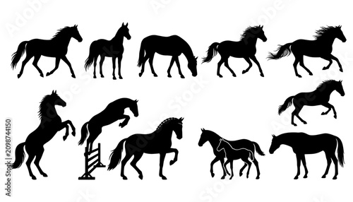 Fotografie Horses in Various Poses and Actions, Black Silhouettes on White Background Featu