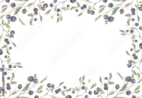 Huckleberry, bilberry shrub branches with berries and foliage, forest growth, ripe blueberry bush. Watercolor hand drawn rectangular frame with copy space. Regional tourism plant and foraging guides