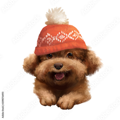 Hand-drawn illustration of an adorable, fluffy brown dog wearing a cozy red winter hat.