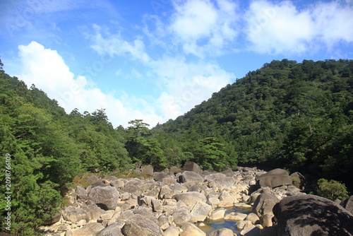 登山道