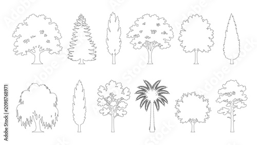 CAD Drawings. Set of tree outlines isolated on white and transparent background. Architectural elevation plants, pine, palm, and deciduous trees. Side view. Vector illustration.