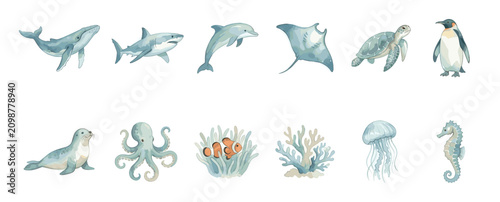 Collection of diverse marine animals and sea life elements, rendered in a charming watercolor illustration style on a clean white background
