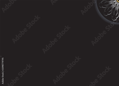 Modern Monochrome Floral Circle Abstract Design