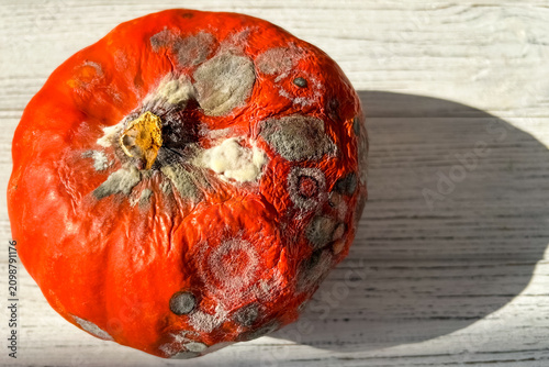 Принти на полотні Close look at a pumpkin showing signs of decay and mold on a light wooden surfac