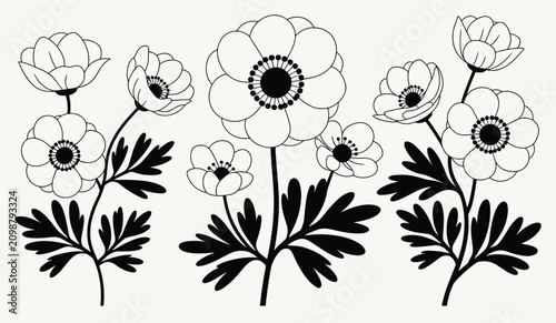 Bild auf Leinwand Black and white hand drawn floral anemone flower set with botanical illustration