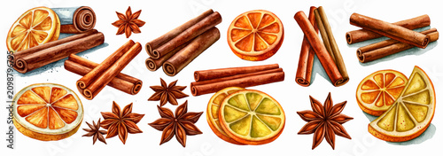 Schilderij op canvas Warm watercolor illustration depicting cinnamon sticks, star anise, and dried ci