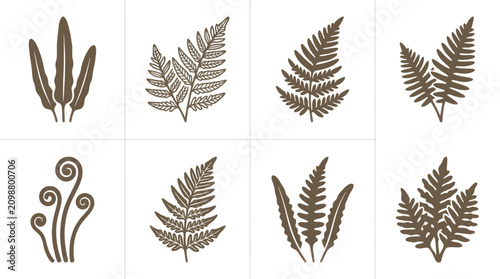 Tableau sur toile Assorted fern leaf illustrations