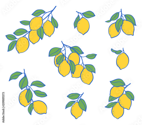 Vector clipart set of Mediterranean lemon branches with green leaves. Isolated Italian style citrus fruit elements on a white background for summer design.
