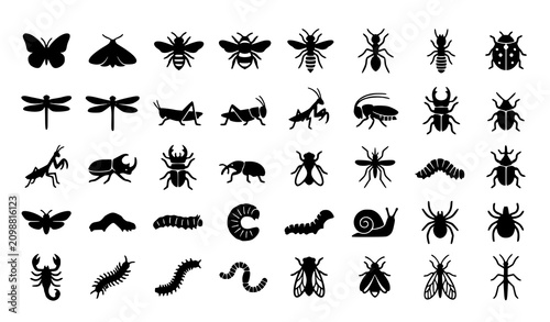 Cuadro en lienzo Modern insect silhouette icon collection with bugs larvae beetles butterflies sp