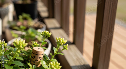 Cute Cork Stopper Charm Adorning Delicate Budding Yellow Flowers On A Sunny Balcony