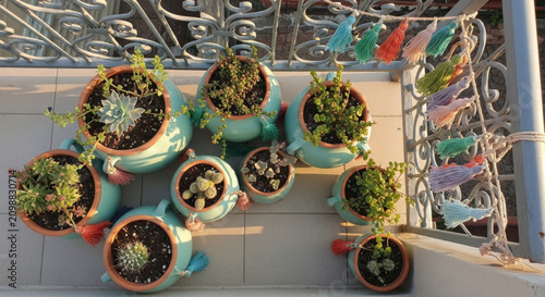 Creative Balcony Garden With Colorful Tassels And Assorted Succulents
