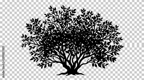CAD tree lines,  Black grass, Black tree silhouette with dense leaves and branches, detailed garden bush vector icon, isolated botanical plant element for landscape design Vector