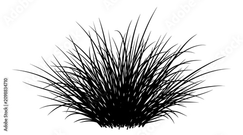 Photos CAD tree lines,  Black grass, Black hedgehog spines, animal quills, vector illus