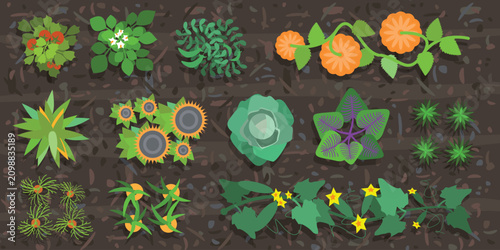 Colourful kitchen garden plant collection in flat top view style with vegetables, herbs, flowers, vines, leaves and decorative foliage arranged on dark soil.