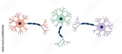 Neuron cell types vector set – Human nervous system, brain anatomy and neurology illustration