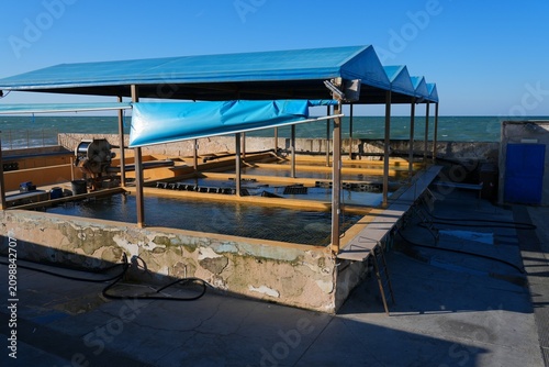 Fotografie Aquaculture ponds