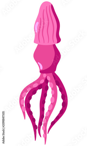 Tableau sur toile Pink squid vector illustration in vertical format
