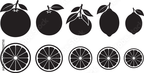 Citrus Fruit Halves Vector for Juicy and Fresh Designs