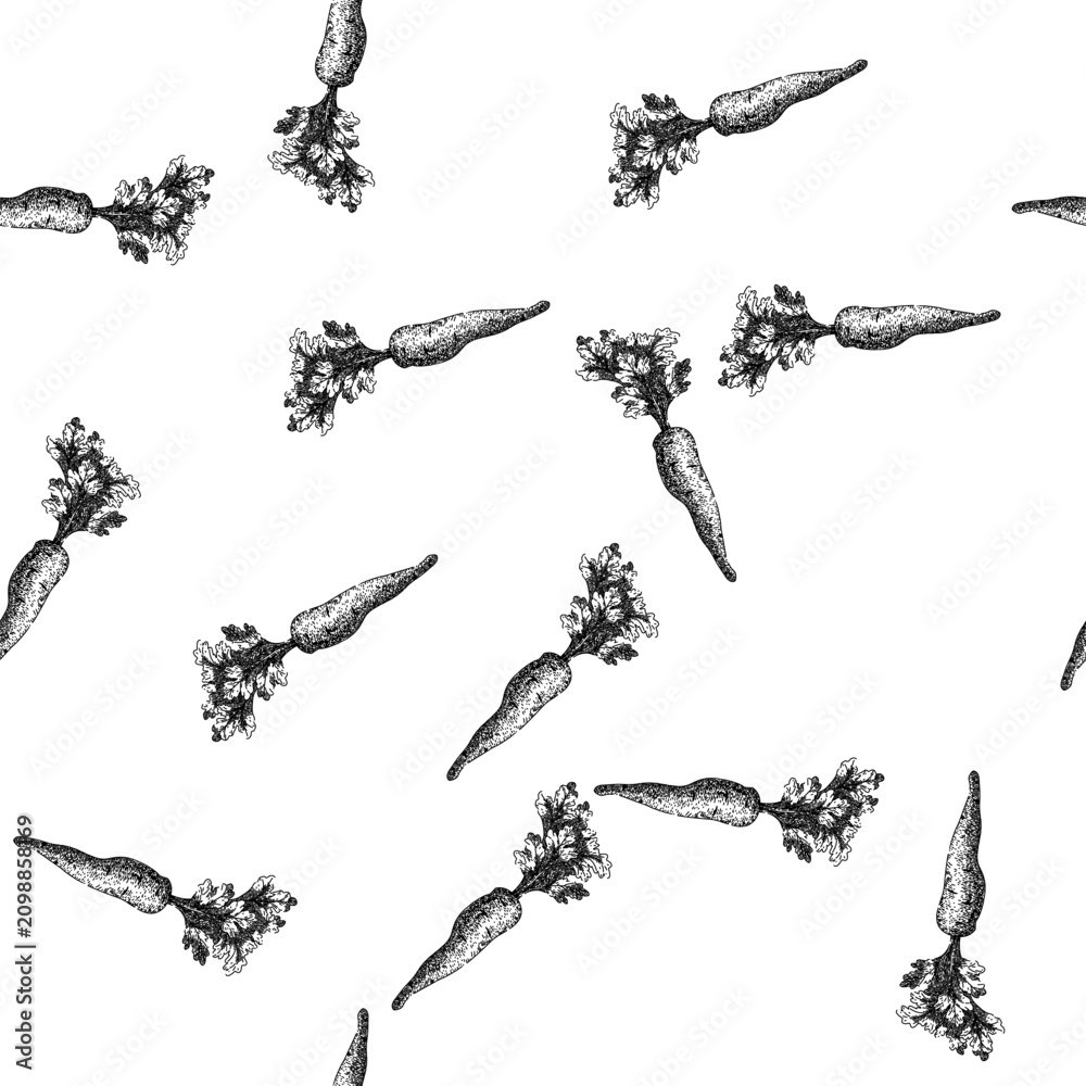 Fototapeta premium seamless pattern parsnip root natural hand drawn. fresh raw, food vegetable, plant vegetarian, parsley nature, pastinaca ingredient parsnip root natural black sketch illustration