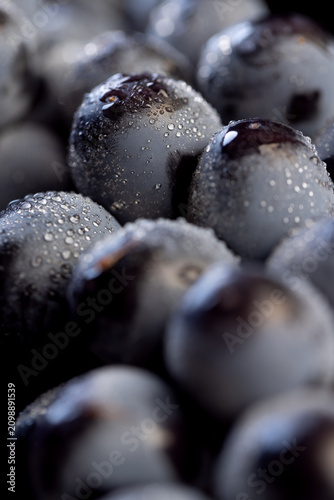 ripe blue grapes in drops, wine grapes