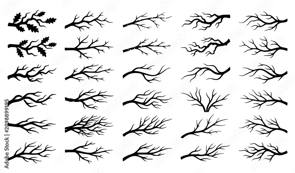 Obraz premium Tree Branch and Bare Twig Silhouette Vector Big Collection with Leaf Elements for Halloween Horror Themes Winter Layouts and Seasonal Botanical Graphic Designs
