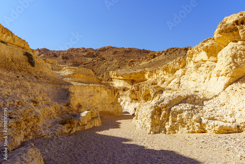 Desert landscape, inside Makhtesh (crater) Ramon