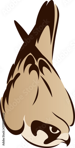 Hawk clipart, traditional chinese brush painting style