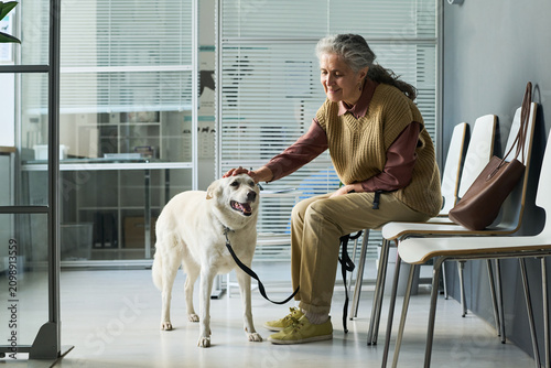 Konstfotografi Senior Caucasian woman sitting in clinic waiting room, petting dog and holding leash during visit, showing companion animal care