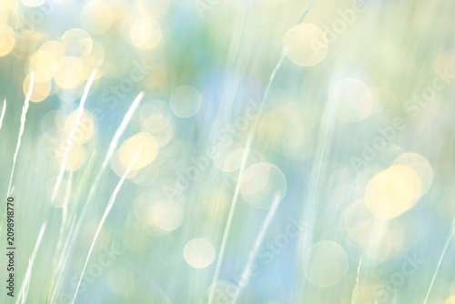 summer nature golden bokeh delicate soft color abstract background