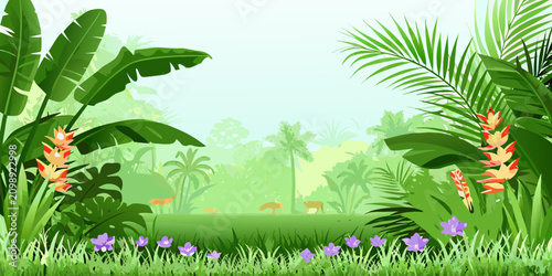 Photography Tropical jungle landscape vector illustration with palm trees and flowering plan