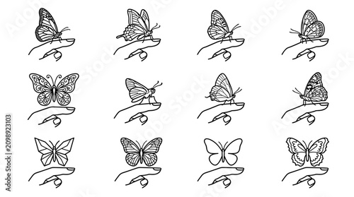 Obraz na płótnie Collection of Hand Gestures with Butterflies Landing on Fingertips, Line Art