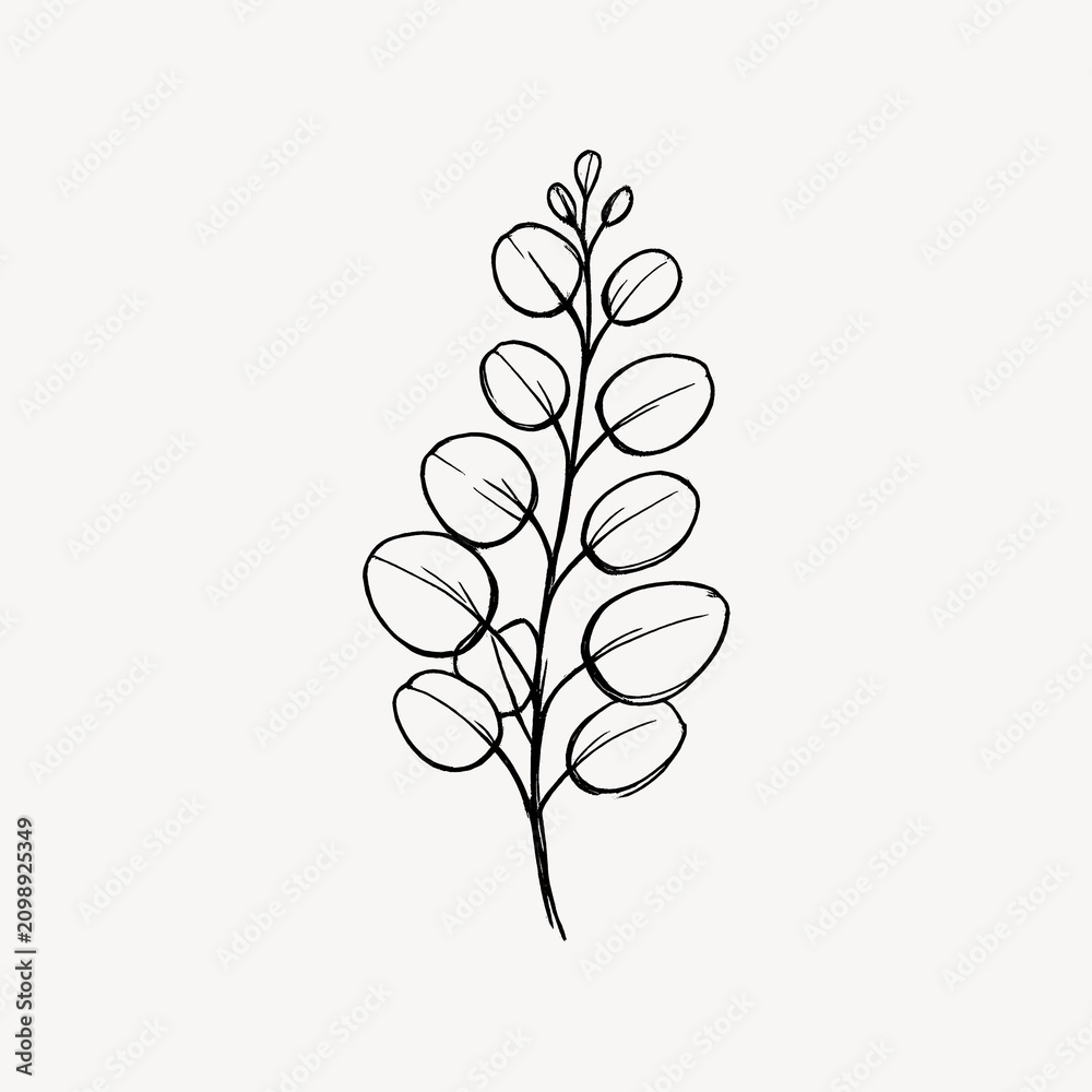 Obraz premium Minimalist botanical line art