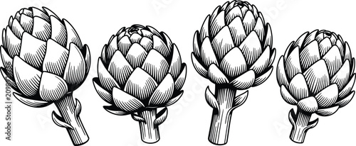 Bild auf Leinwand Vintage hand drawn artichoke vegetable sketch vector illustration set for organi