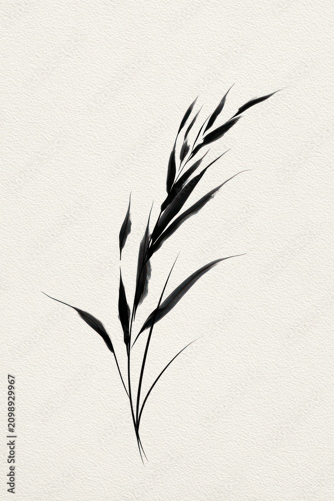 Obraz premium Minimalist black ink botanical illustration.