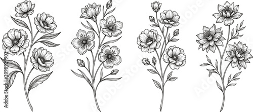 Foto Vintage hand drawn floral branches sketch vector set for organic pattern card el