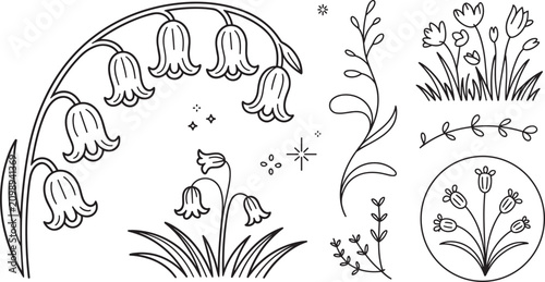 Bild auf Leinwand Beautiful bluebell flower line art vector set with stars minimal spring botanica