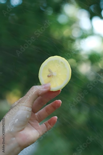 Lemon Slice Under Water Spray