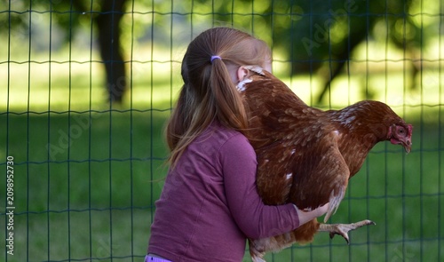 Принти на полотні Adorable little girl carrying a brown hen in a rural backyard