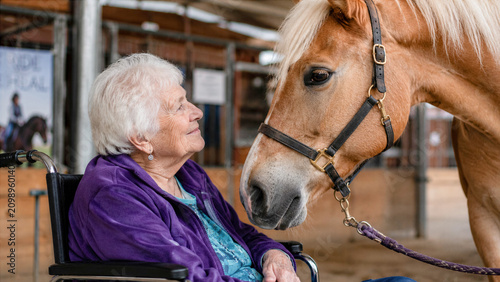 Elderly woman in wheelchair looking into gentle eyes of therapy horse ranch